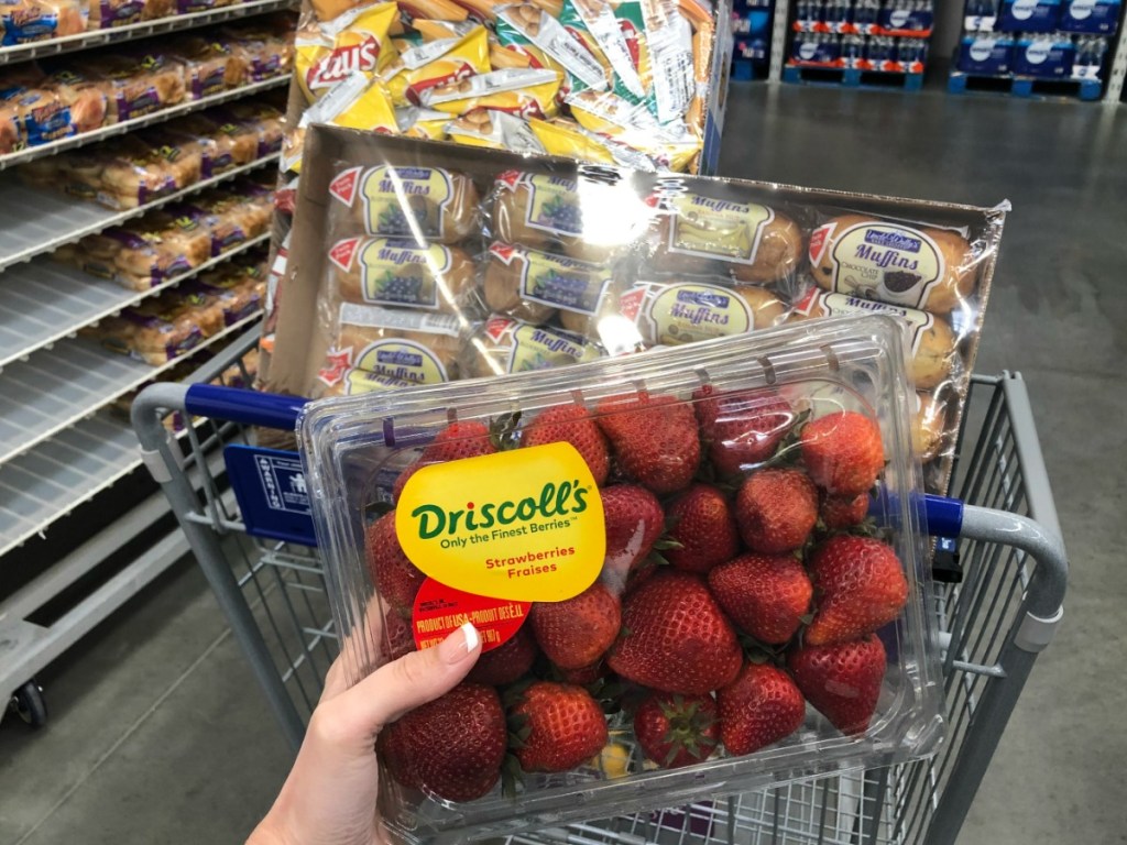 lady holding strawberries with muffins in the background at Sam's
