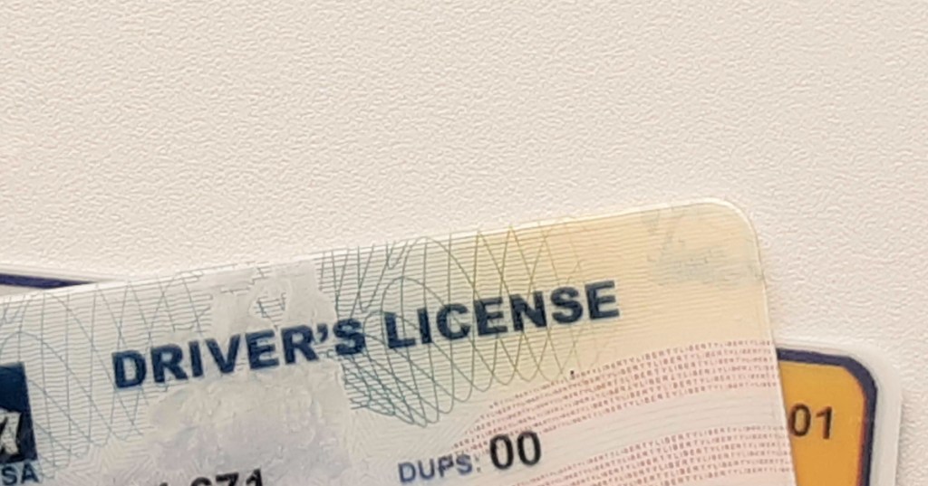 two driver's licenses on a white background