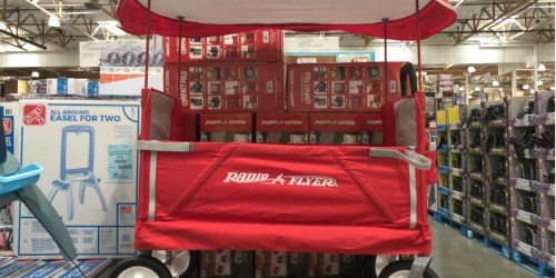 Radio Flyer Fold Wagon w/ Canopy & Seat Belts Only $79 Shipped + More