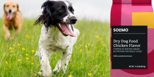 Amazon Brand Dry Dog Food 15-Pound Bag Only $4.94 Shipped