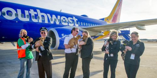 Southwest Airlines One-Way Flights as Low as $49