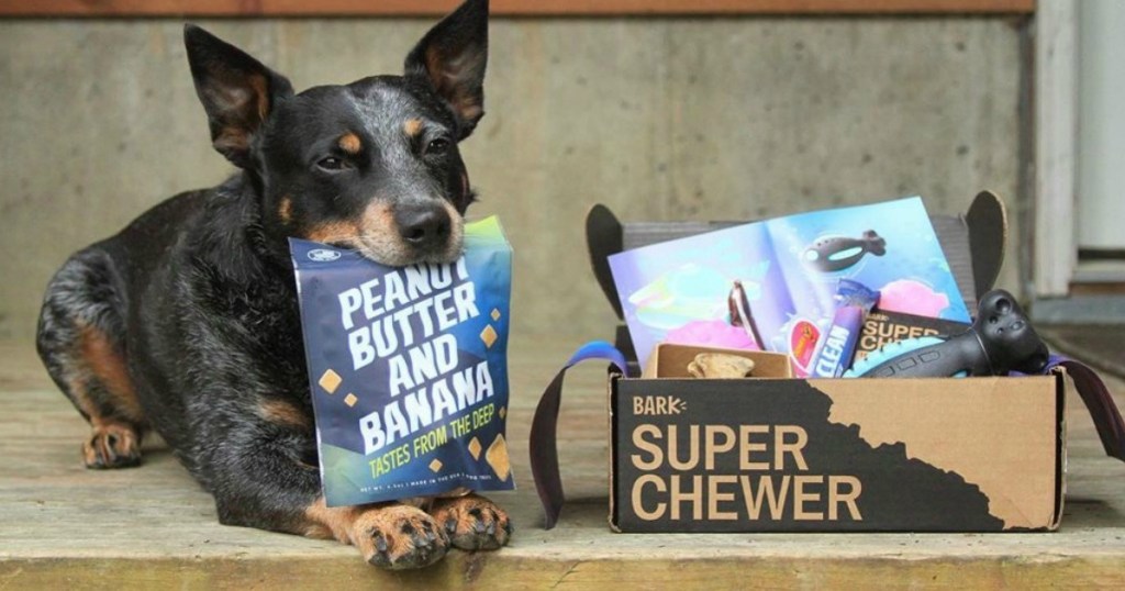 black dog holding treats in his mouth laying next to super chewer box