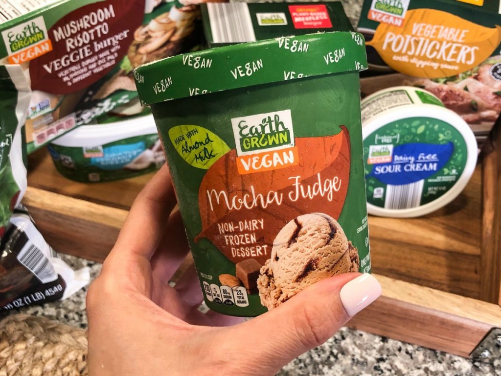 ALDI Vegan Ice Cream in Mocha Fudge Flavor