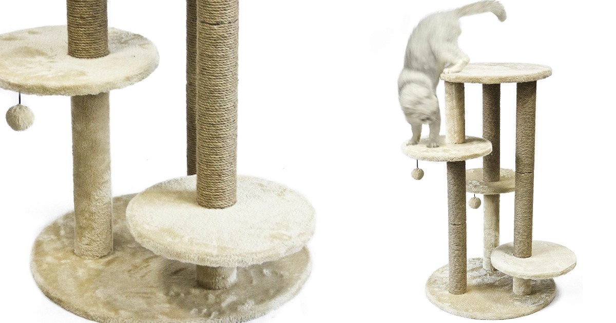 closeup on cat platform and cat playing on cat furniture