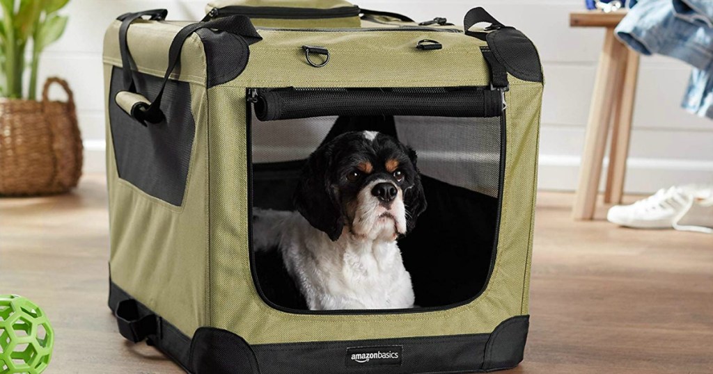 dog sitting in dog crate on floor
