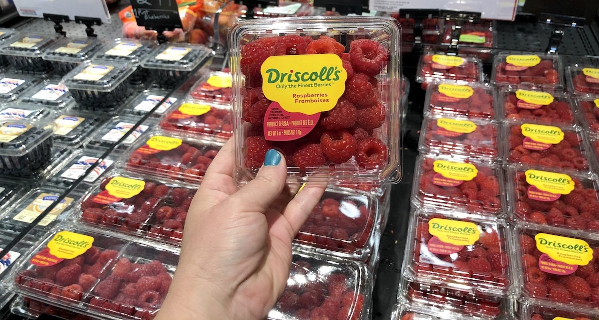 hand holding raspberries at Target