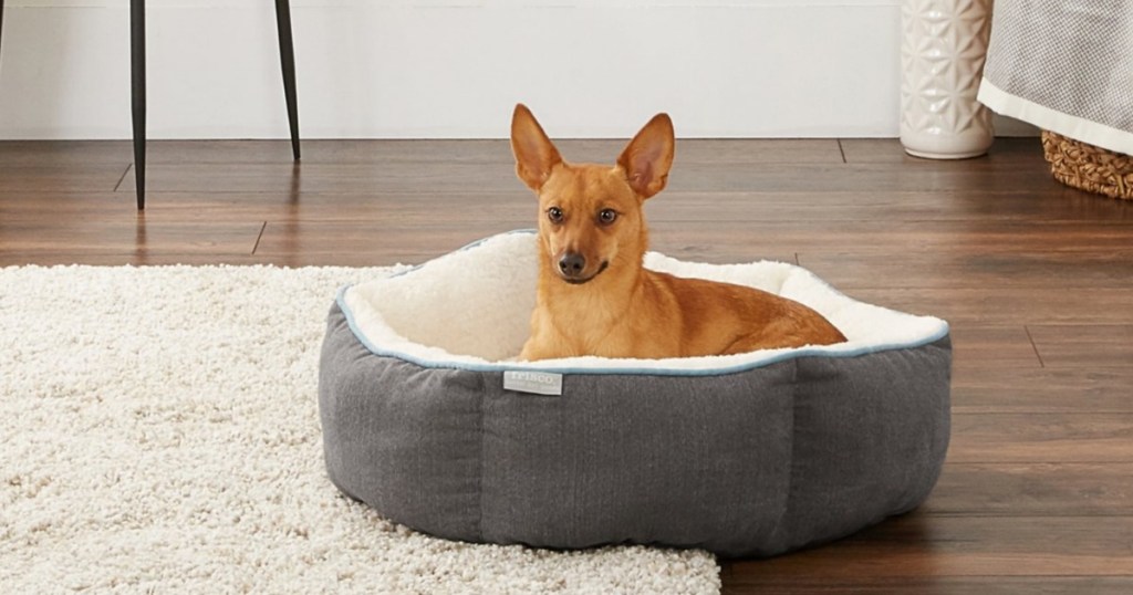 dog sitting in grey dog bed which is sitting on living room floor