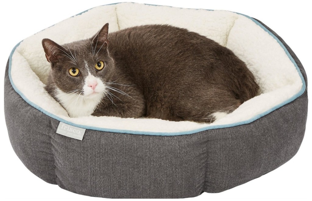 cat in sherpa lined gray dog bed