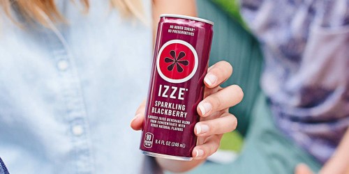 IZZE Sparkling Juice 24-Count Variety Pack Only $9 Shipped at Amazon