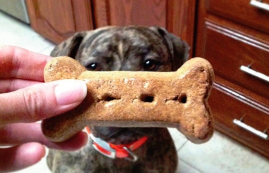 black dog in kitchen with hand holding dog treat