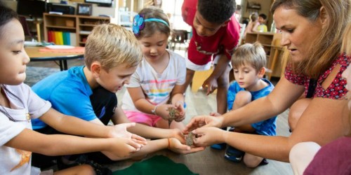 Teachers Can Get a FREE Classroom Pet — 2025–2026 Grant Now Open!