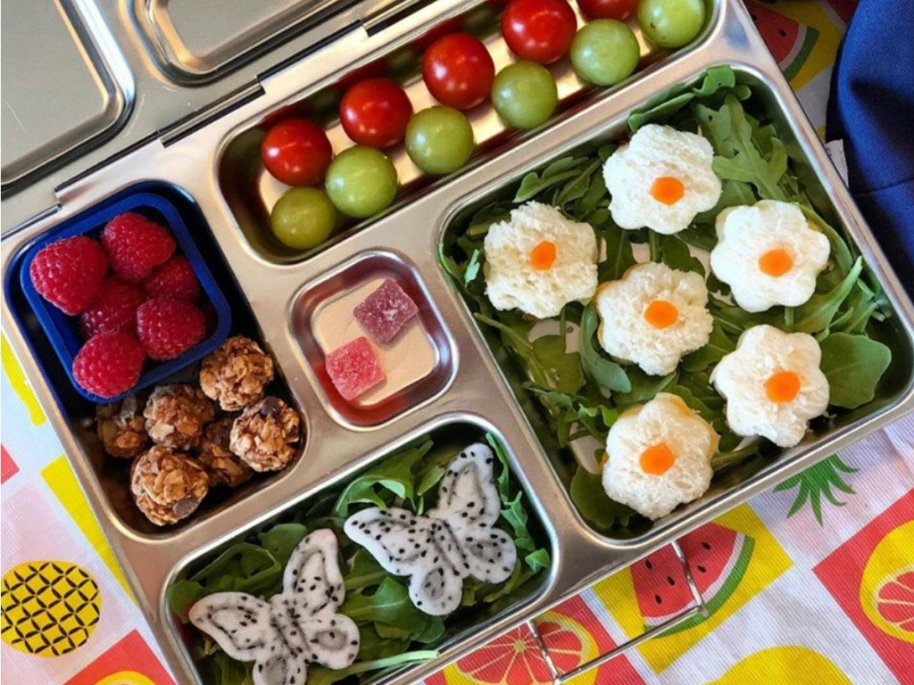 healthy lunch packed in PlanetBox Rover