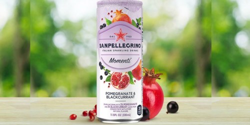 San Pellegrino Momenti Sparkling Drinks 24-Pack Only $8.64 Shipped | Amazon Prime Members