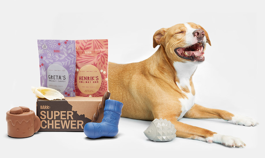 dog sitting next to Super Chewer box