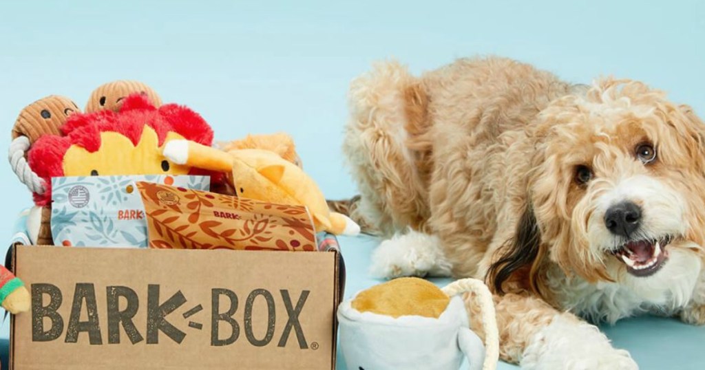 dog with box of toys on blue background