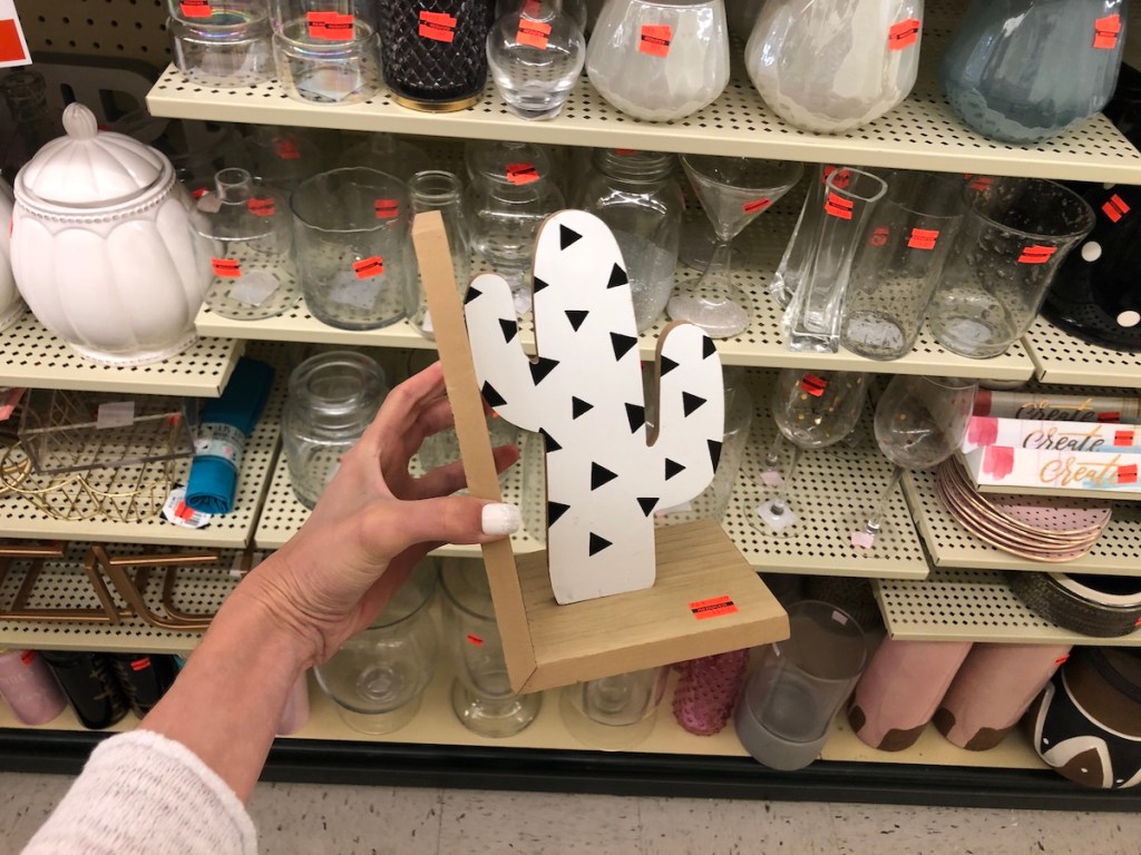 woman hand holding cactus book end at hobby lobby