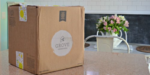 Get $70 Worth of Natural Cleaning Products From Grove Collaborative for Just $23.99 Shipped!
