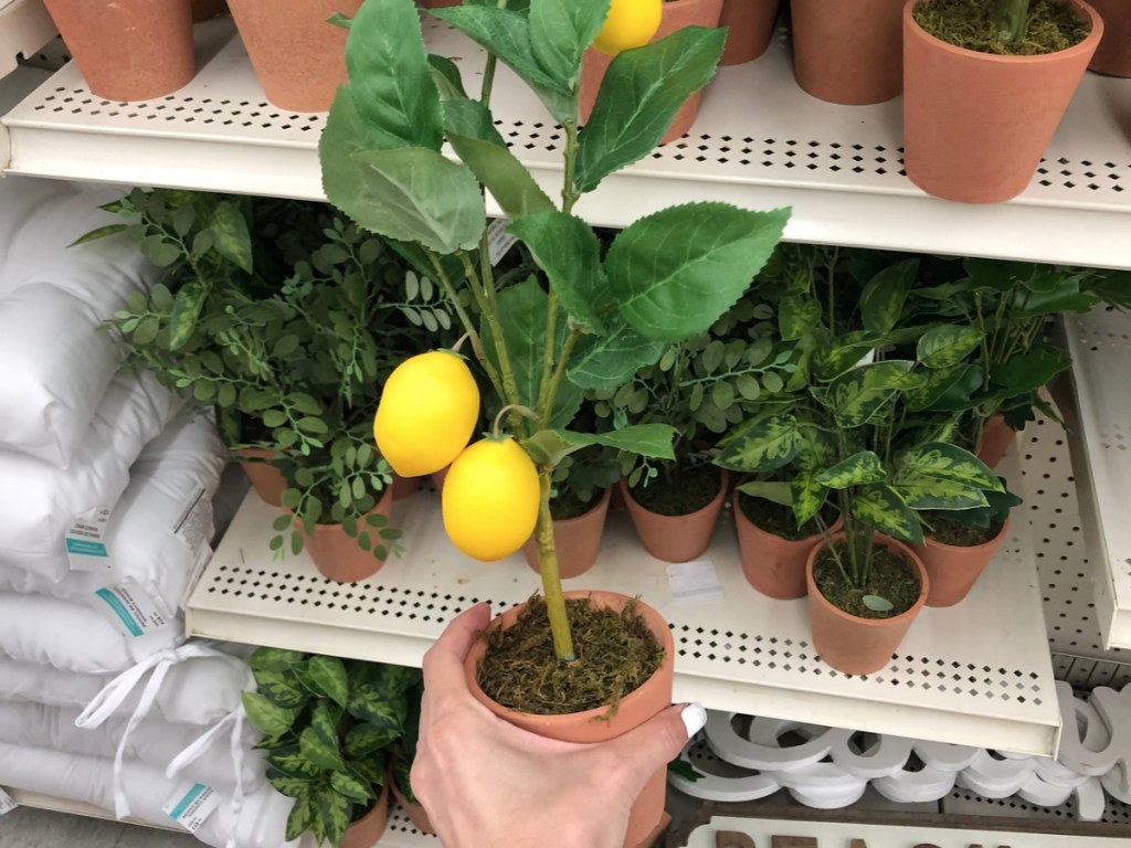 michaels lemon tree decor