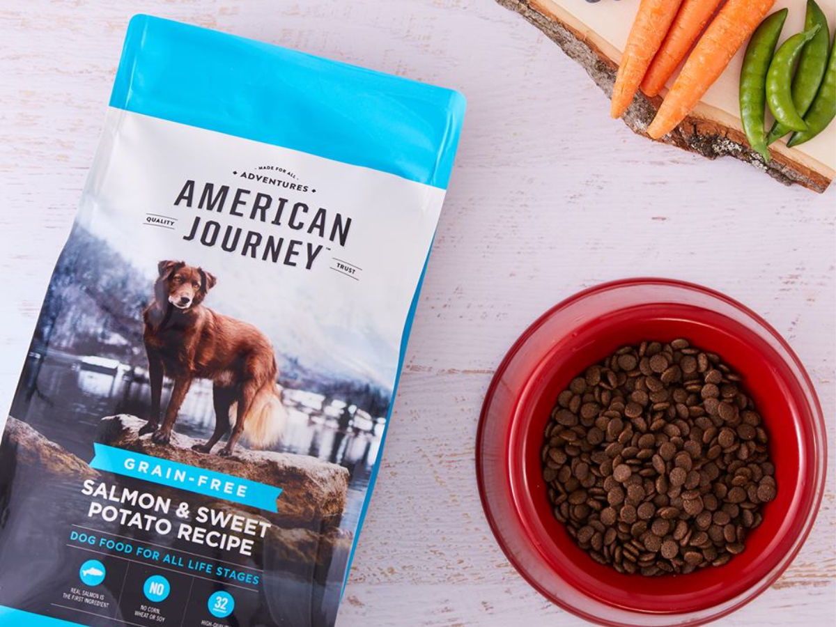 American Journey Dog Food with food in a red bowl