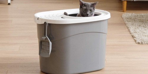 Top Entry Cat Litter Box & Scoop Only $13.49 at Amazon (Regularly $25)