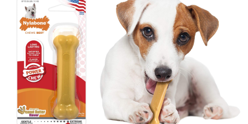 Nylabone DuraChew Dog Toy Only $1.91 Shipped at Amazon (Regularly $6)