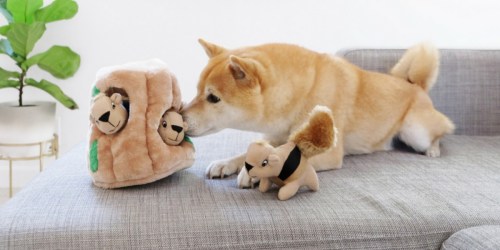 Outward Hound Interactive  Dog Toys as Low as $6.79 Shipped at Amazon | Fun Gift for Your Dog