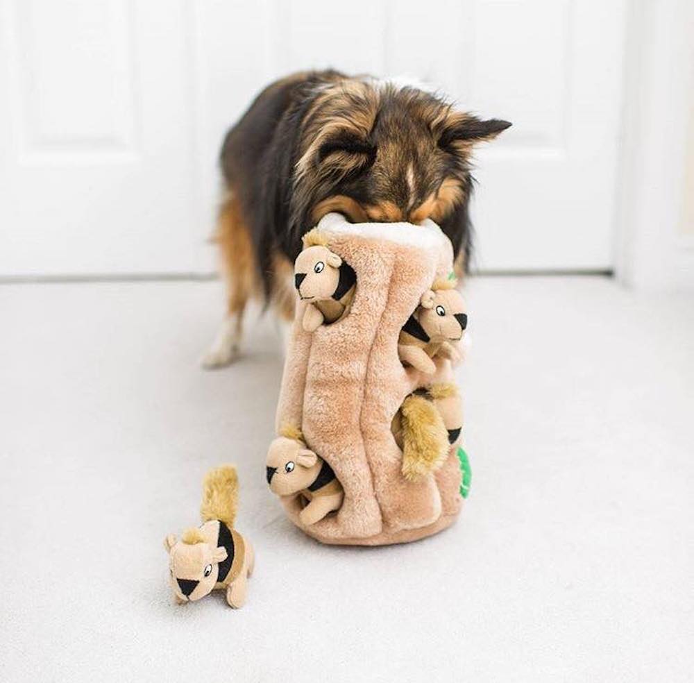 dog with nose in toy