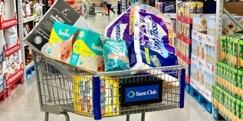 How to Save $15 Off Your Sam’s Club Order | Save on Diapers, Laundry Items & More