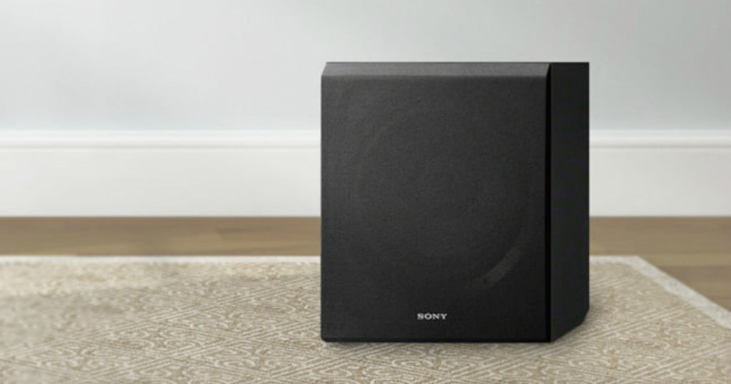 Sony Subwoofer on rug