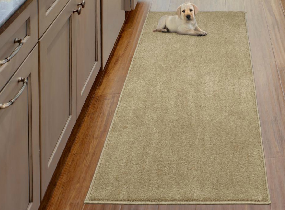 Beige colored shag area rug from home depot with small lab puppy