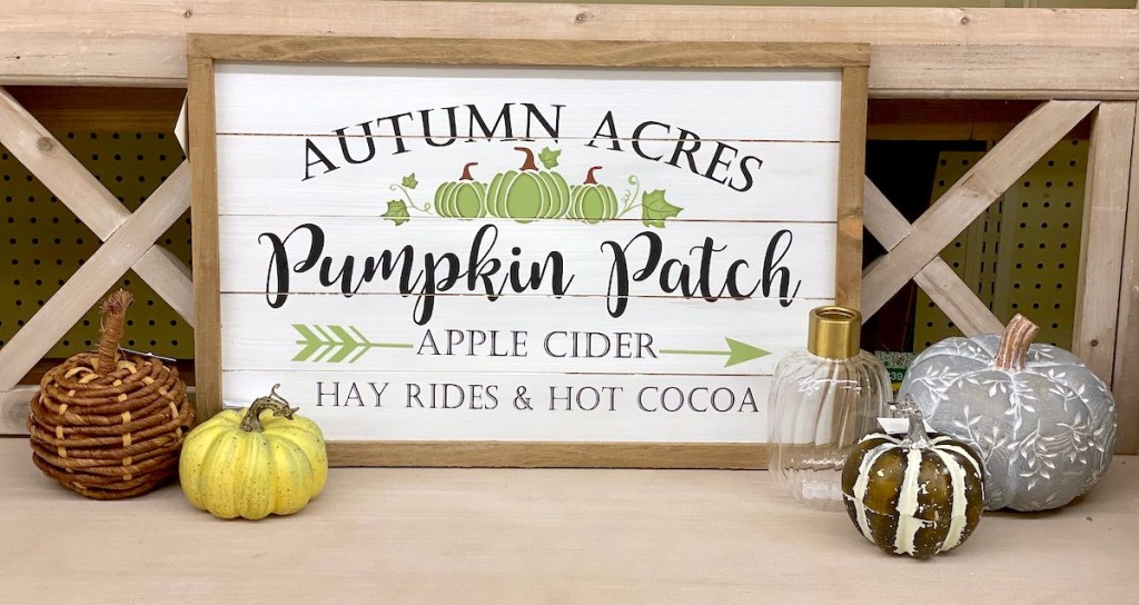 pumpkin patch fall sign with various styles of pumpkins on store table
