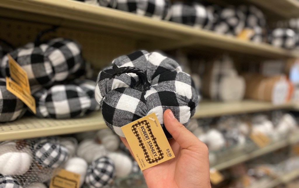 hand holding black and white plaid pumpkin