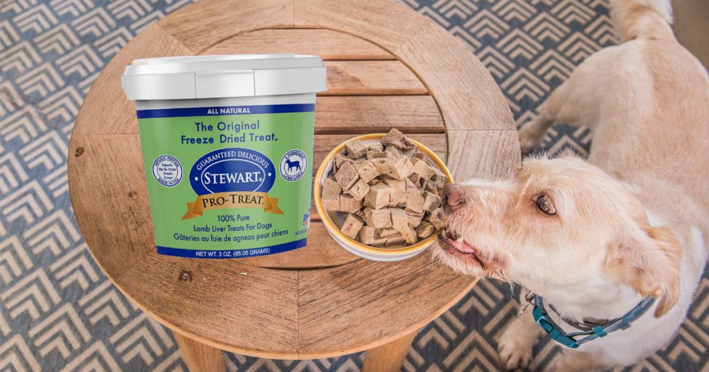 stewart freeze dried dog treat with dog 
