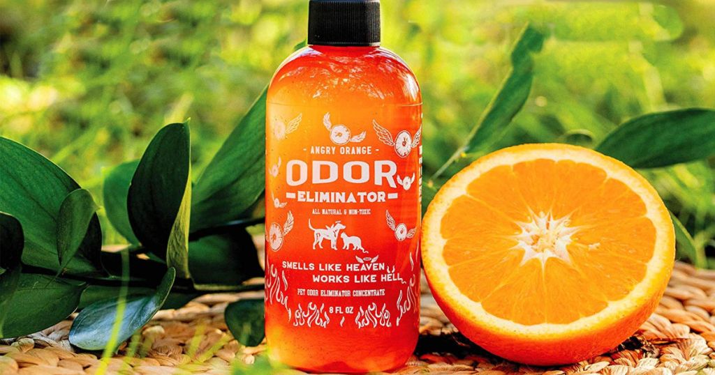 Angry Orange Odor Eliminator with orange