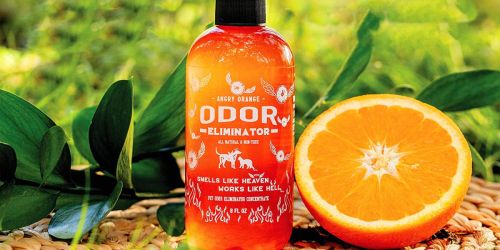 Angry Orange Odor Eliminator Concentrate Only $18 Shipped | Get Rid of Stinky Pet Smells