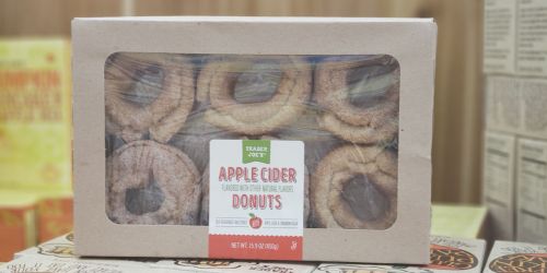 NEW Trader Joe’s Fall Sweet Treats | Apple Cider Donuts, Pumpkin Ice Cream Cones, & More