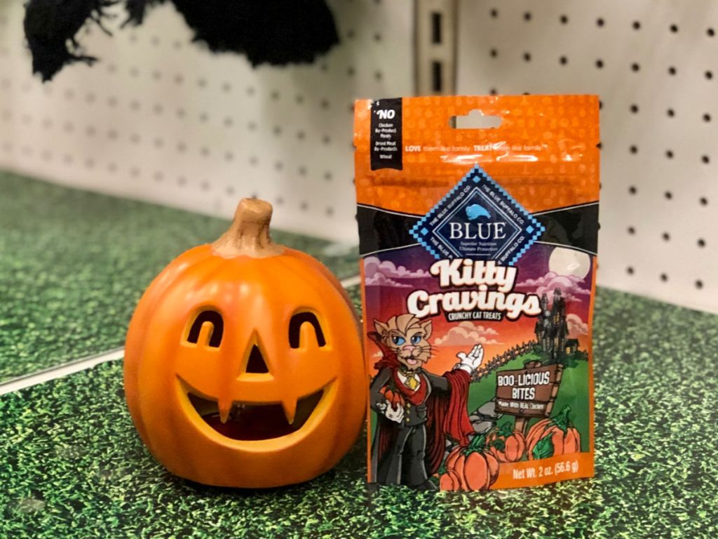 Blue Buffalo Kitty Cravings Crunchy Cat Treats next to pumpkin