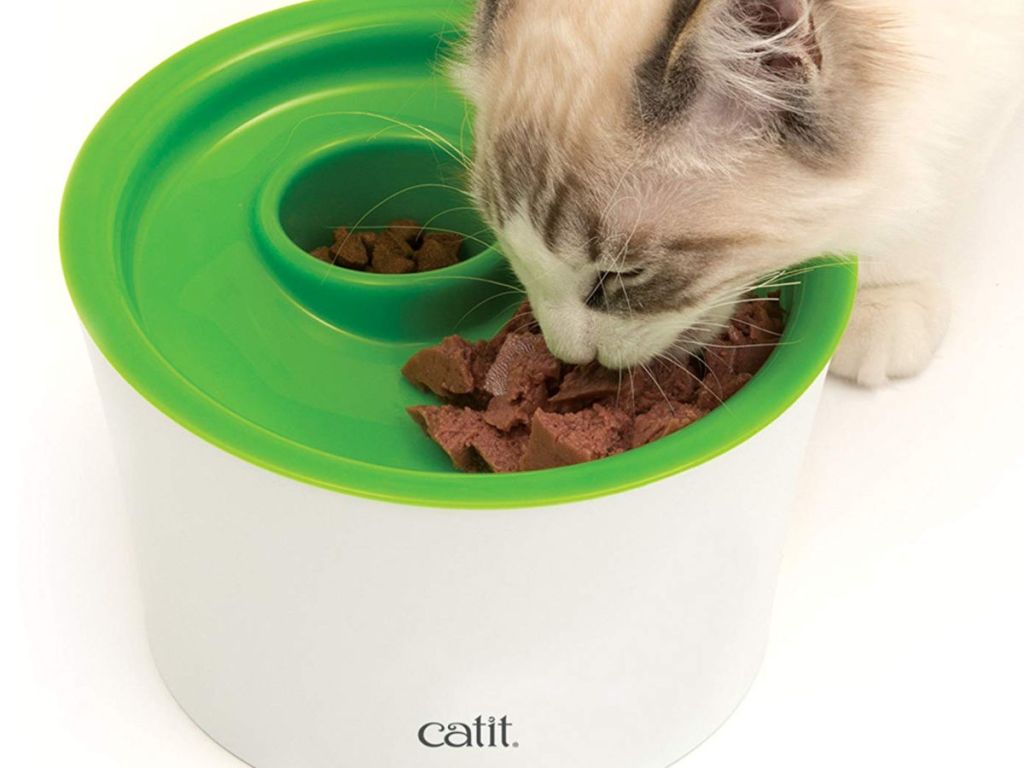 Catit cat food bowl with cat eating