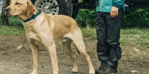 Up to 60% Off Columbia Pants For The Family + FREE Shipping