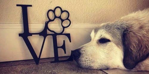 Metal Wall Decor Signs as Low as $9 Shipped