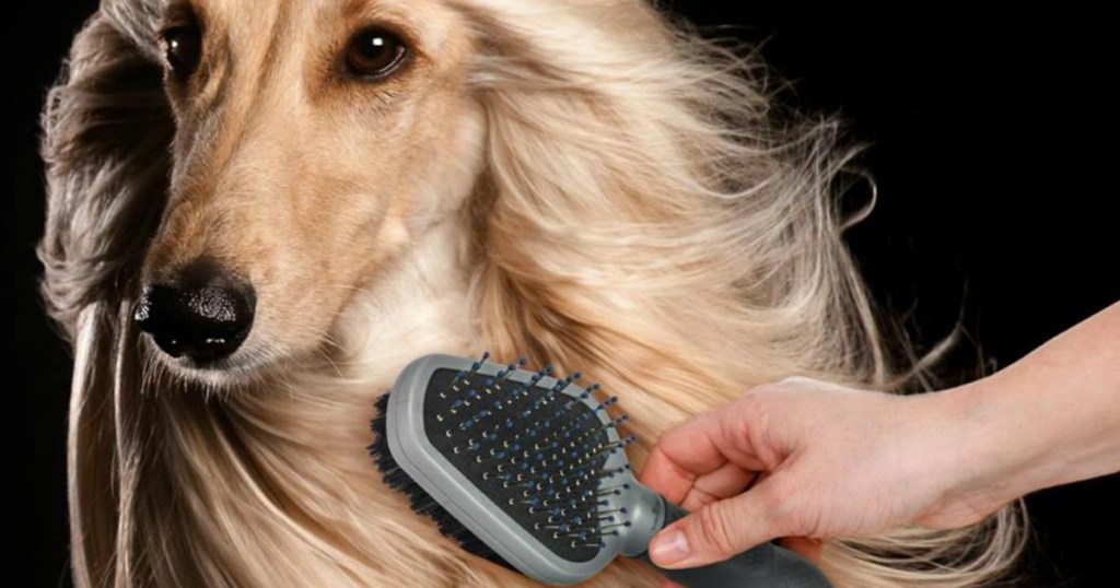 dog being groomed with a brush