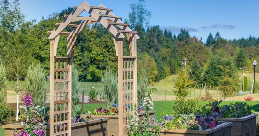 Garden Trellis by garden boxes