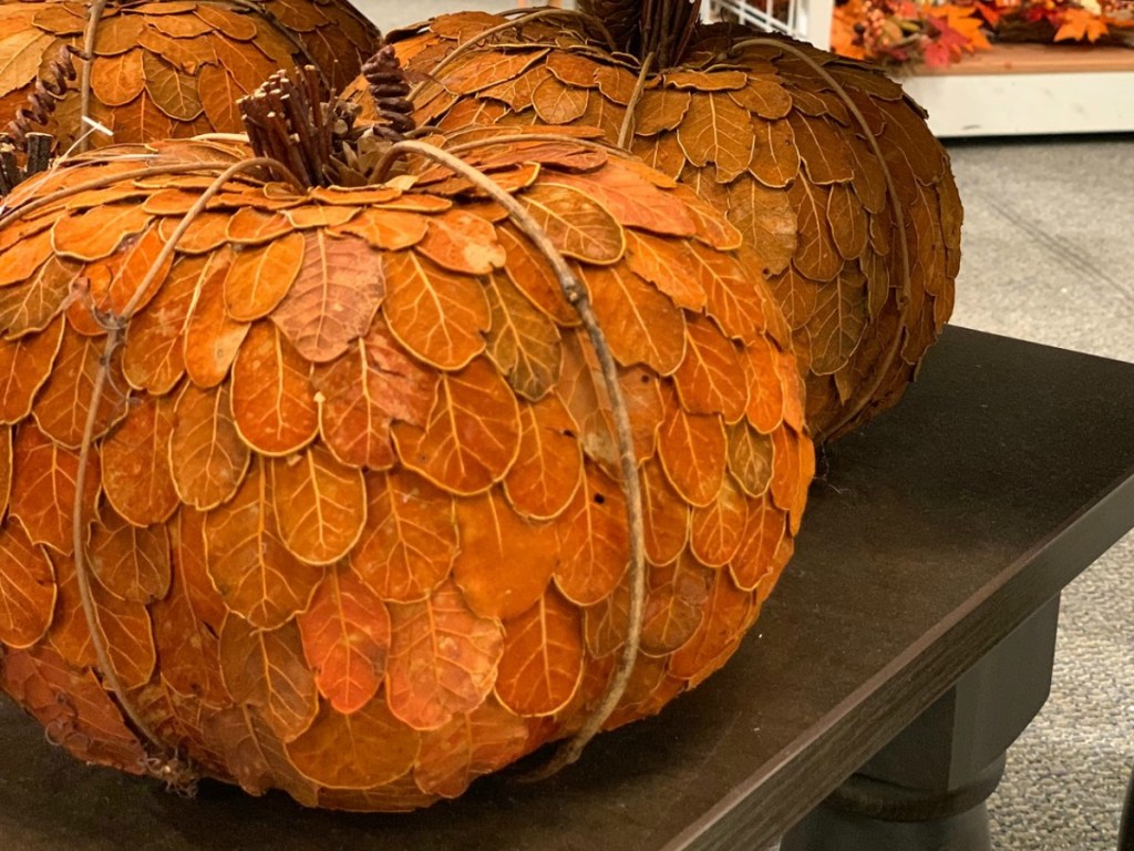 Halloween Pumpkins at Kohl's