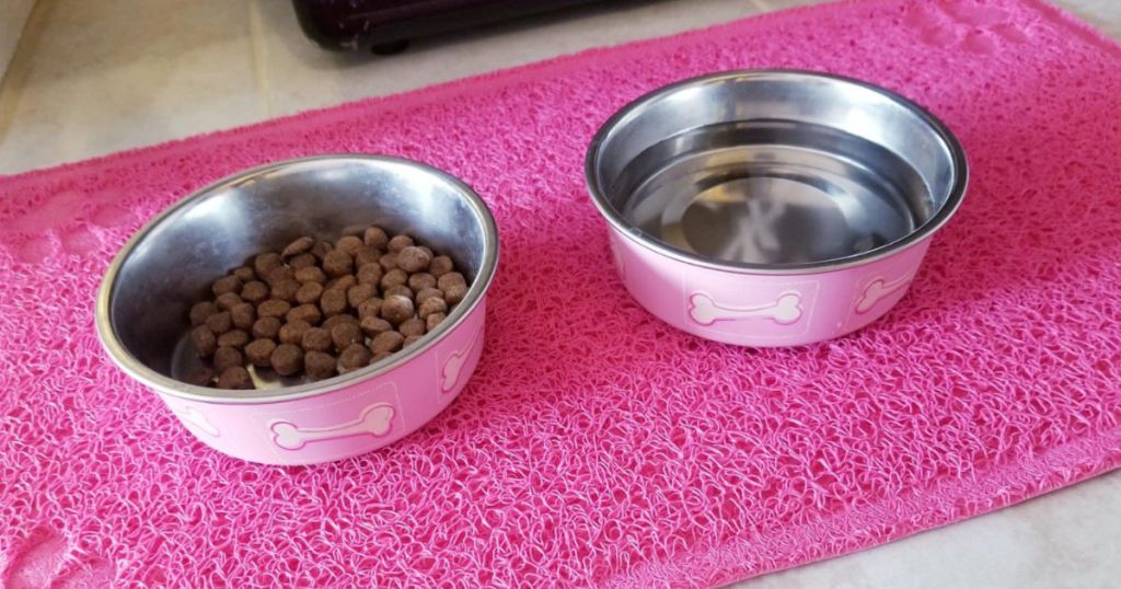 pink Loving Pets Coastal Bella Pet Bowls on pink mat