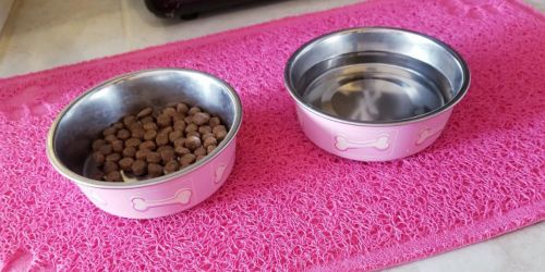 Loving Pets Coastal Bella Pet Bowls as Low as $1.50 on Amazon