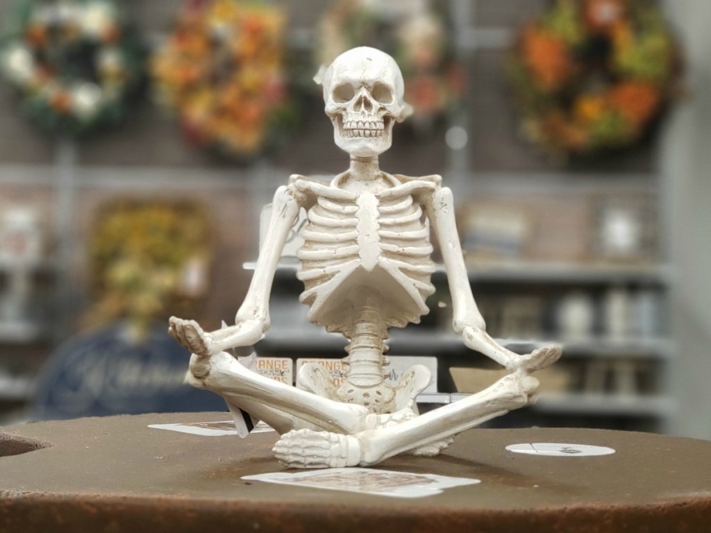 Yoga Pose Skeleton at Michael's in-store