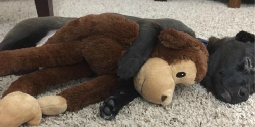 Oversized Plush Dog Toys as Low as $2.97 Shipped on Amazon