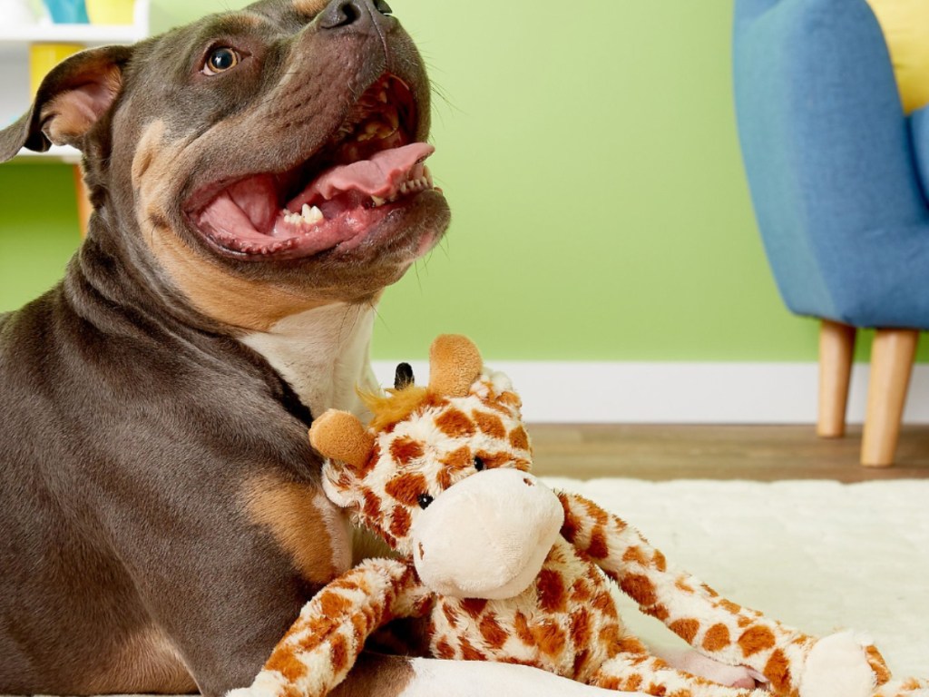Multipet Swingin Pet Giraffe