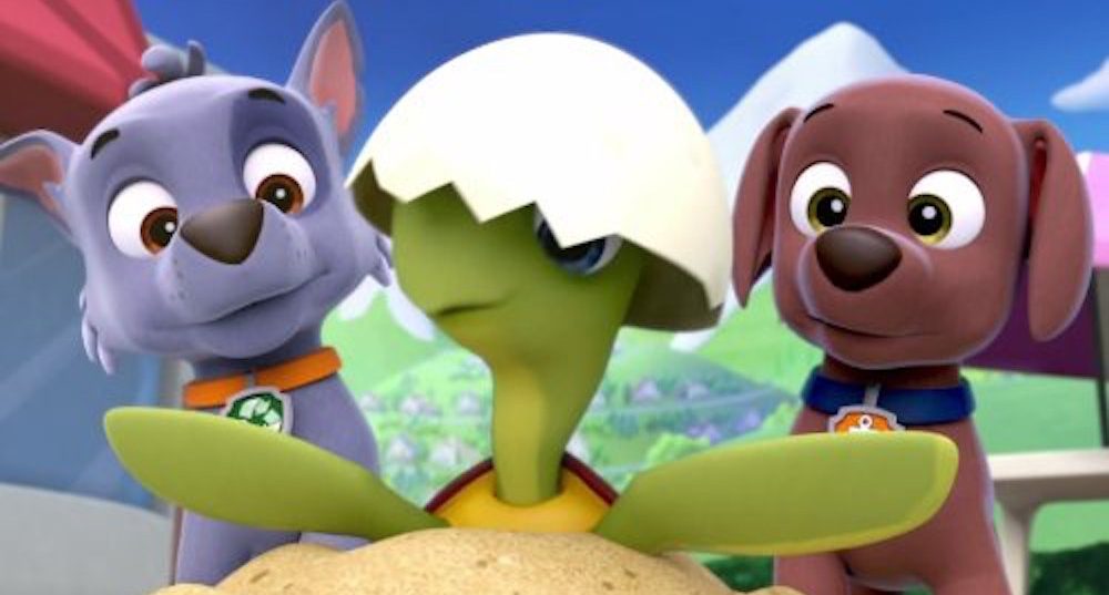 Paw Patrol dogs looking at turtle