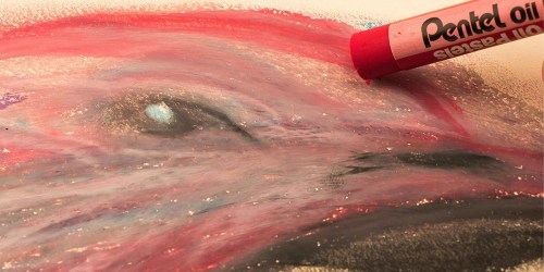 Pentel Oil Pastels 50-Color Set Only $5 at Amazon (Regularly $11)